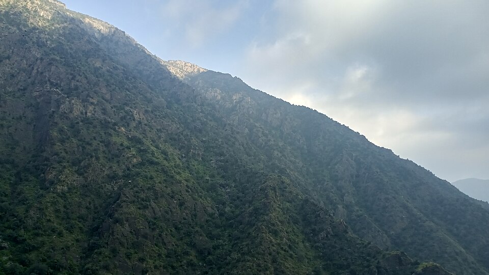 ضباب دائم