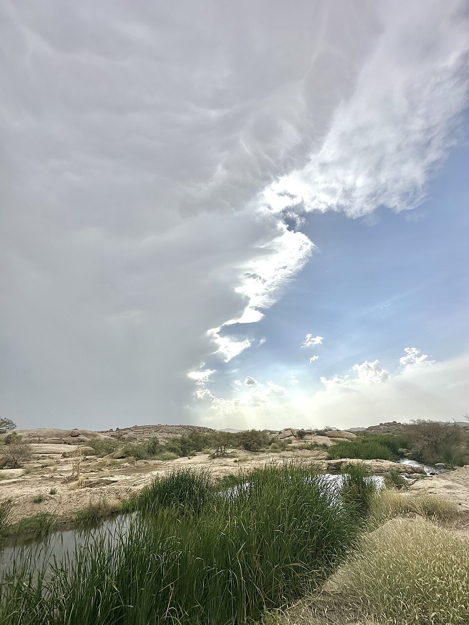 مزارع استوائية