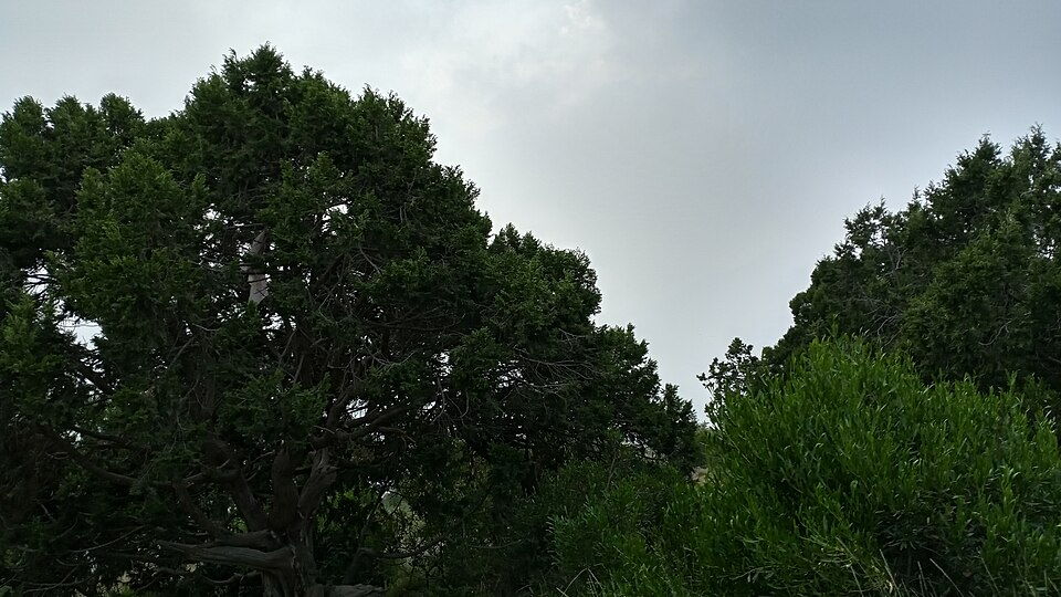 شلالات موسمية